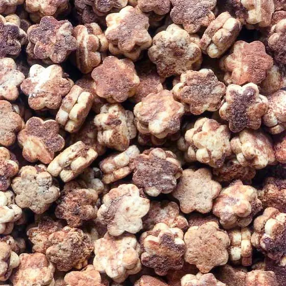 Sequilhos casadinhos de chocolate polvilhados